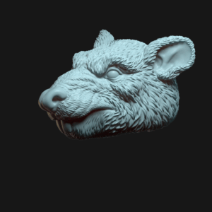 Rat regular face