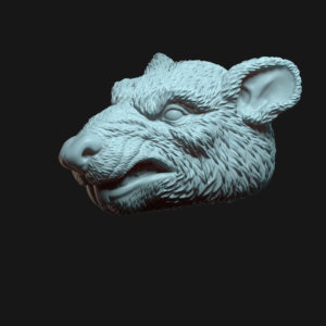 Rat angry face