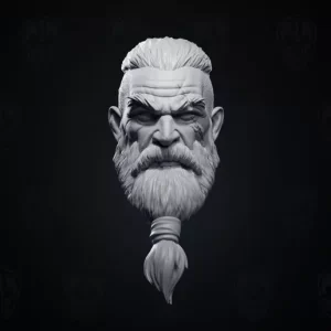BJORNGRIM braid viking