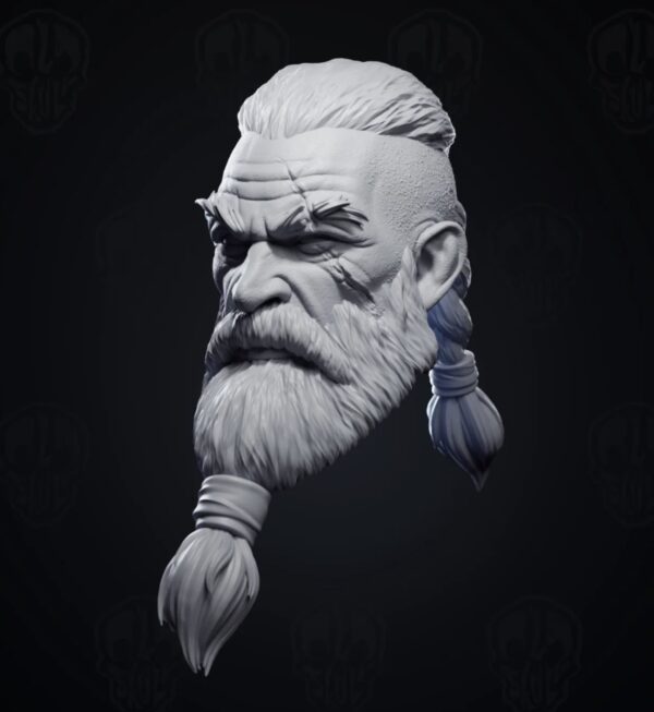 BJORNGRIM braid viking - Image 2