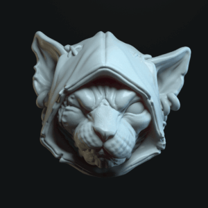 Scr’Tuhm the cat hooded closed mouth