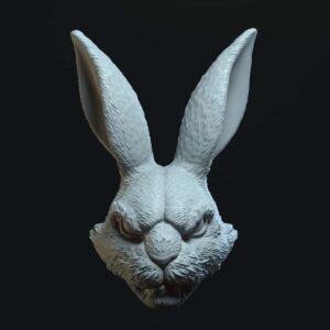 Bunny regular expression