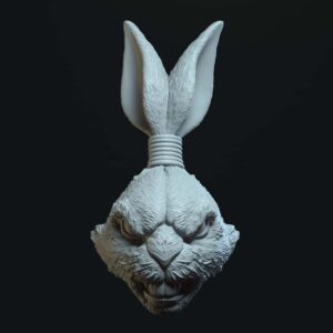 Bunny angry (tied ears)