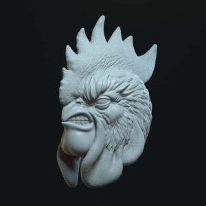 Rooster angry with teeth