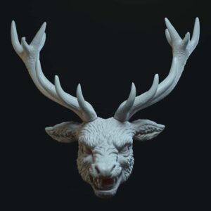 Deer open mouth TEETH