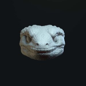 Gecko closed mouth