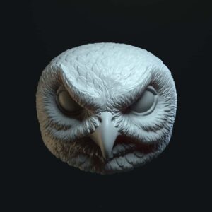 Owl closed mouth