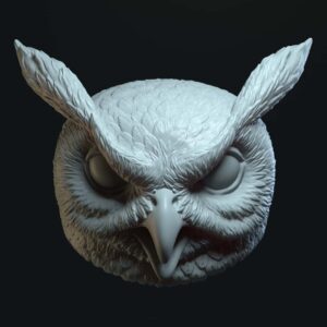 Owl eyebows open mouth