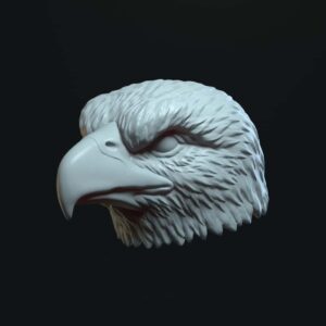 Eagle closed mouth