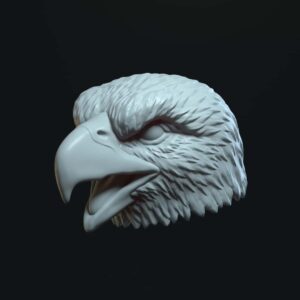 Eagle open mouth