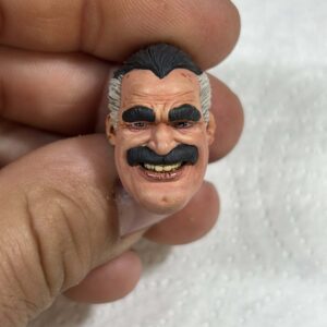 Smiley Omniguy  painted headsculpt