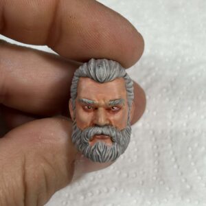 Grey haired human