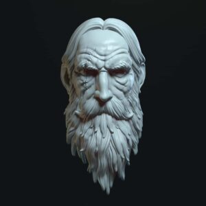 Old Knight full beard with scar eye